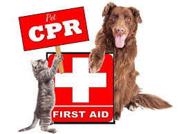 Pet CPR Course
